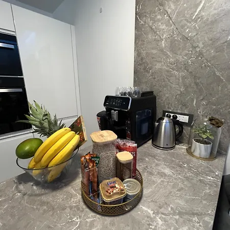 Delfa Luxe Suite-sustainable Luxury & Ev Station